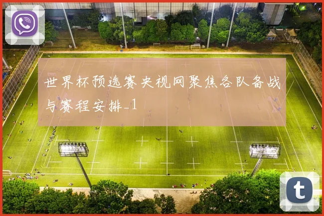 世界杯预选赛央视网聚焦各队备战与赛程安排_1