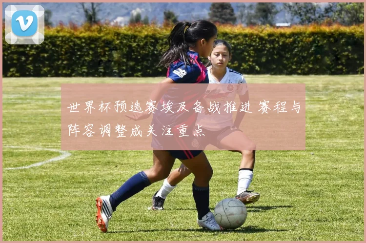 世界杯预选赛埃及备战推进 赛程与阵容调整成关注重点