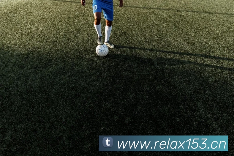 世界杯官方网络平台平台生态图